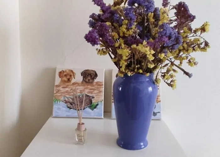 Casa Da Avo Isaura - *